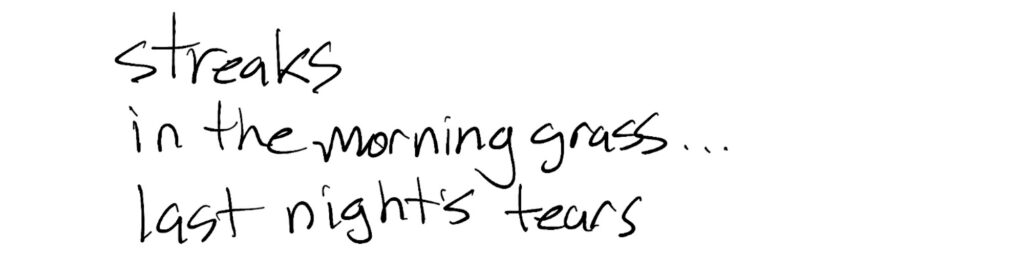 Haiku; streaks / in the morning grass… / last night’s tears