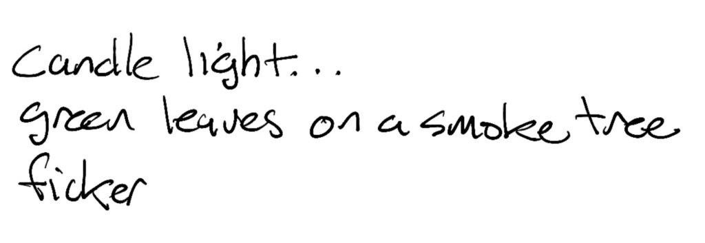 Haiku; candle light… / green leaves on a smoke tree / flicker