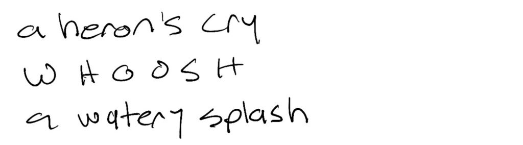 Haiku; a heron’s cry / w h o o s h / a watery splash