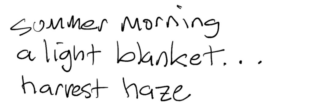 Haiku; summer morning  / a light blanket… / harvest haze