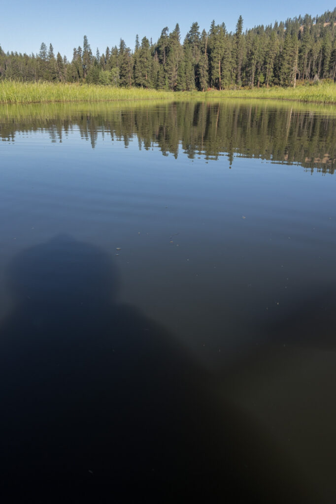Photograph; A Kayaker's shadow on a silty creek in a marsh. Pine trees and blue sky reflections.