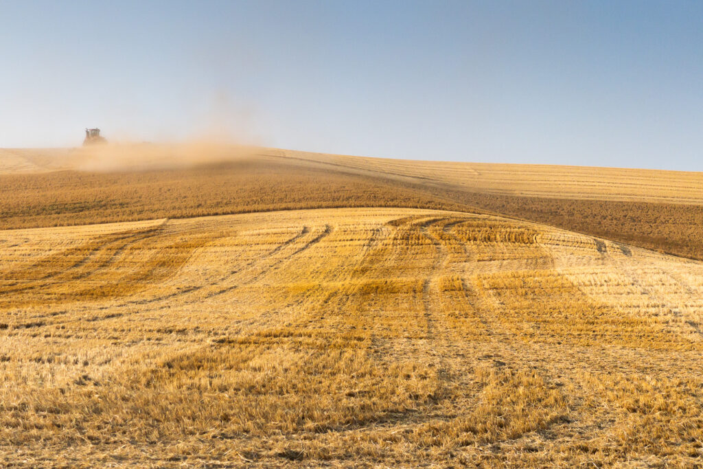 Photograph;  a combine on the Palouse at harvest stirring up dust.