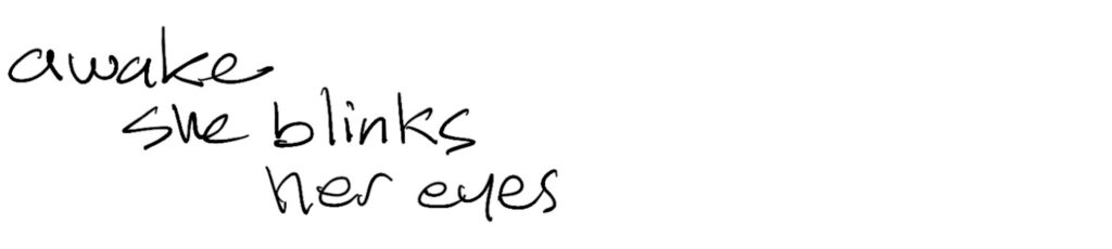 Haiku; awake / she blinks / her eyes