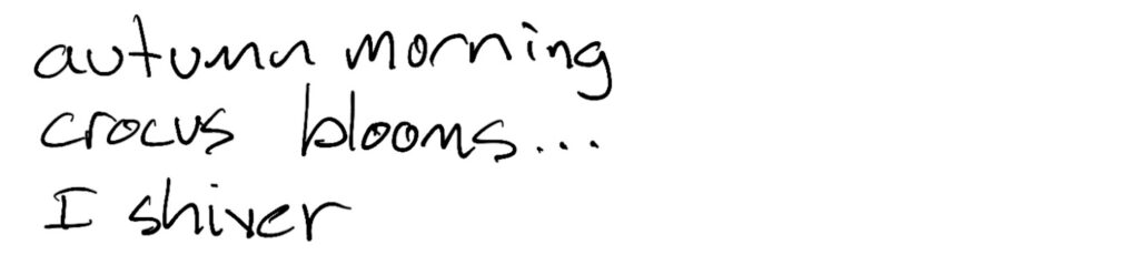Haiku; autumn morning / crocus blooms… / I shiver