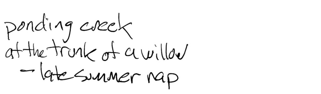 Haiku; ponding creek / at the trunk of a willow / —Late summer nap