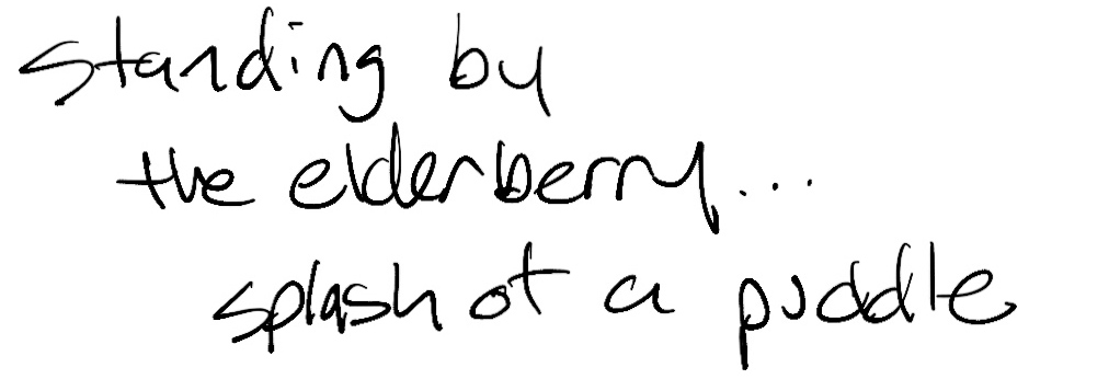 Haiku; standing by / the elderberry... / splash of a puddle