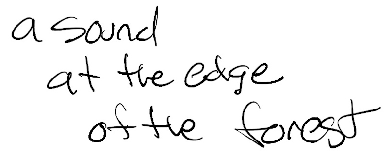 Haiku; a sound / at the edge of / of the forest