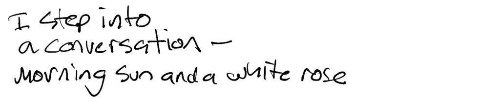 Haiku; I step into / a conversation / --morning sun and a white rose