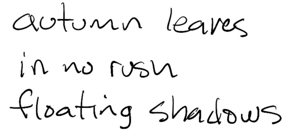 Haiku; autumn leaves / in no rush / floating shadows