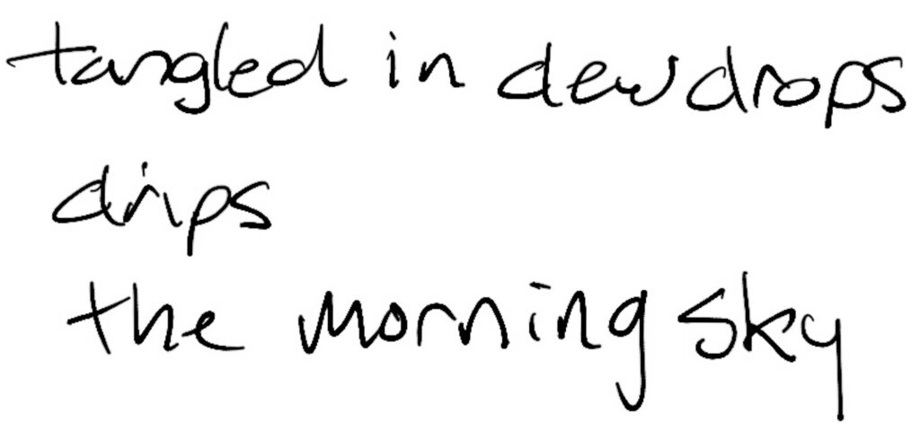 Haiku; tangled in dew drops / drips / the morning sky