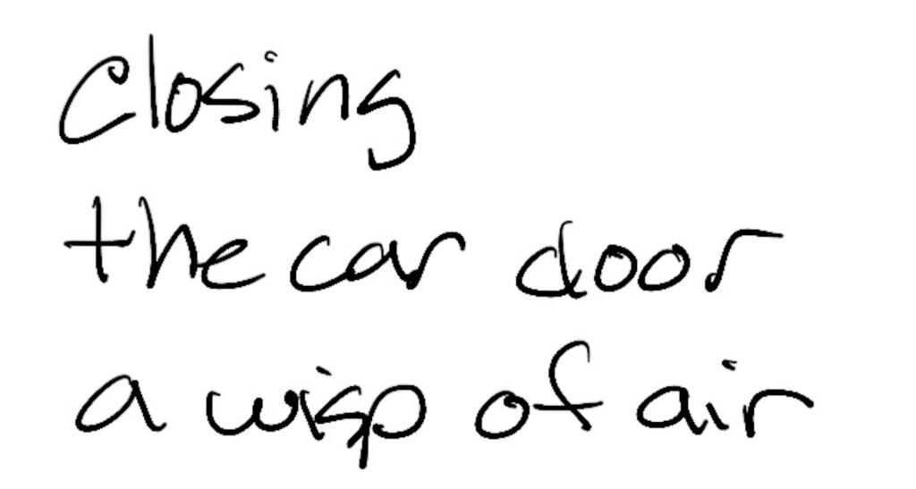 Haiku; closing / the car door / a wisp of air