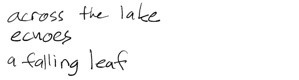 Haiku; across the lake / echoes / a falling leaf