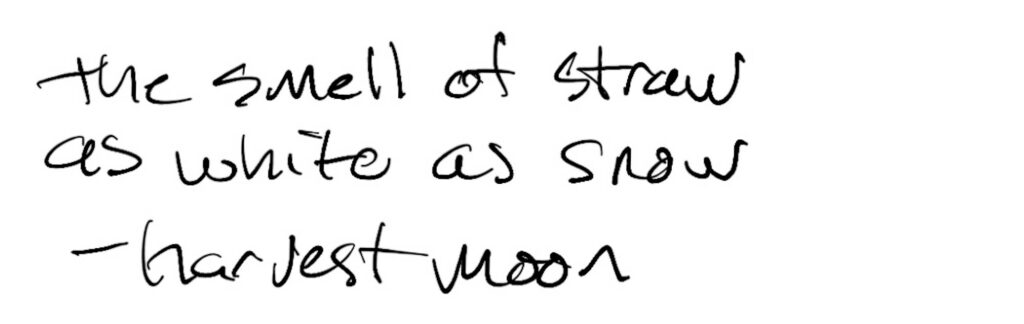 Haiku; the smell of straw / as white as snow / --harvest moon