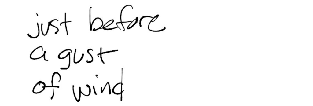 Haiku; Just before / a gust / of wind