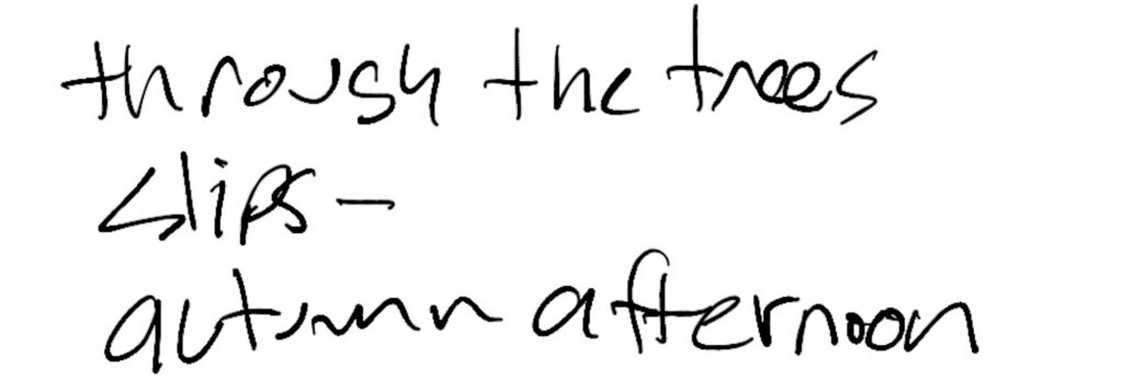 Haiku; through the trees / slips-- / autumn afternoon