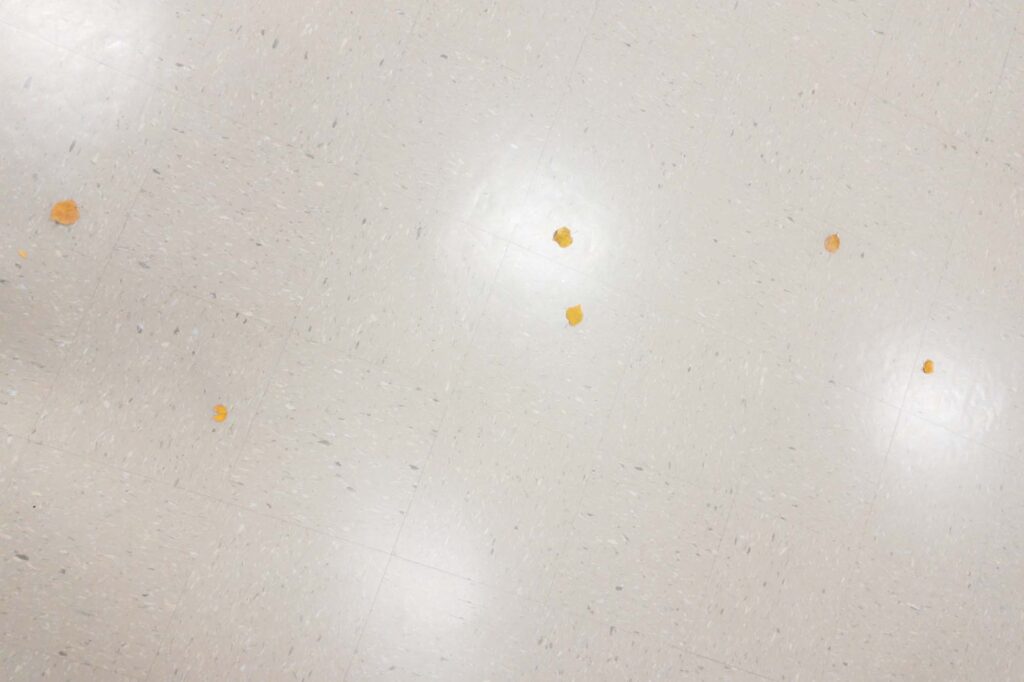 Photograph; Ceiling lights reflected in a linoleum floor with a few autumn leaves. 