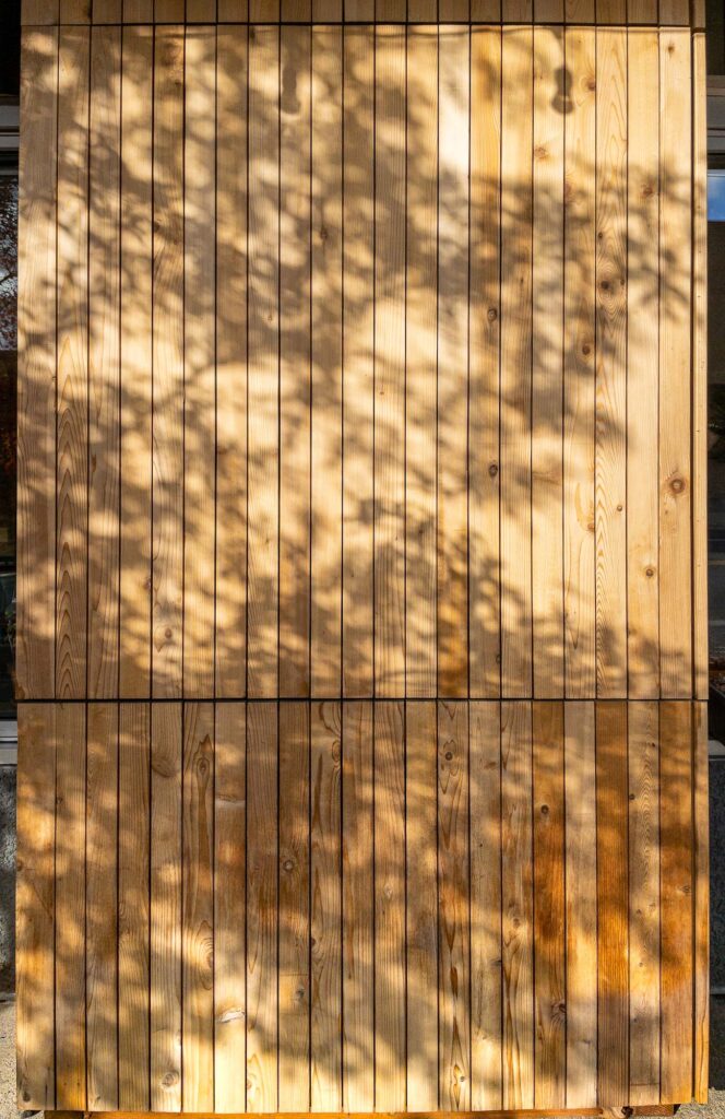 Photograph; shadows of tree branches and leaves on wooden slats.