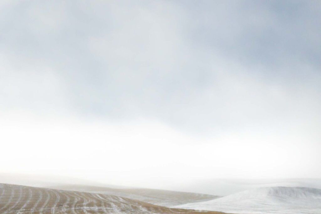 Photograph; A light snowfall on harvested Palouse hills in the fog.