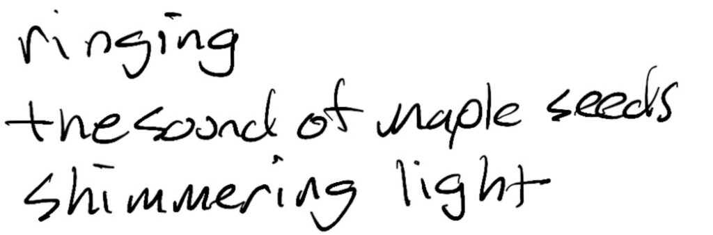 Haiku; ringing / the sound of maple seeds / shimmering light
