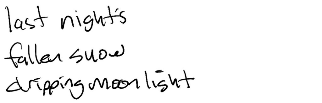 Haiku; last night’s / fallen snow / dripping moonlight