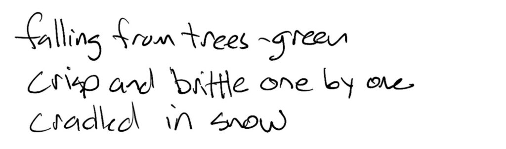 Haiku; falling from trees —green / crisp and brittle one by one /cradled in the snow