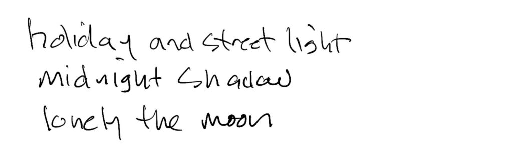 Haiku; holiday and street light / midnight shadow / lonely the moon