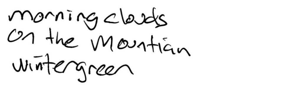 Haiku;  morning clouds / on the mountain / wintergreen