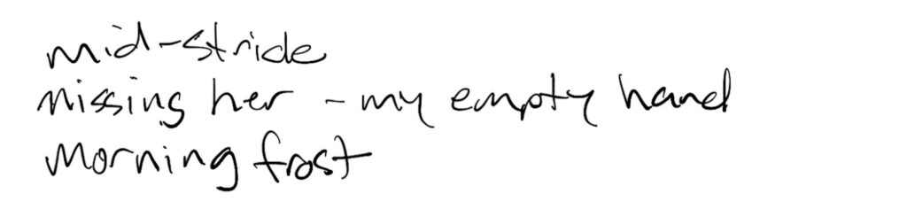 Haiku; mid-stride / missing her -my empty hand / morning frost