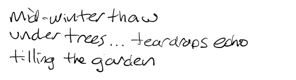 Haiku;  mid-winter thaw /
under trees … teardrops echo / tilling the garden