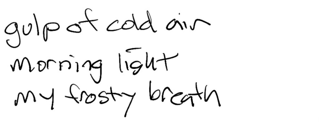 Haiku; gulp of cold air/ morning light /my frosty breath