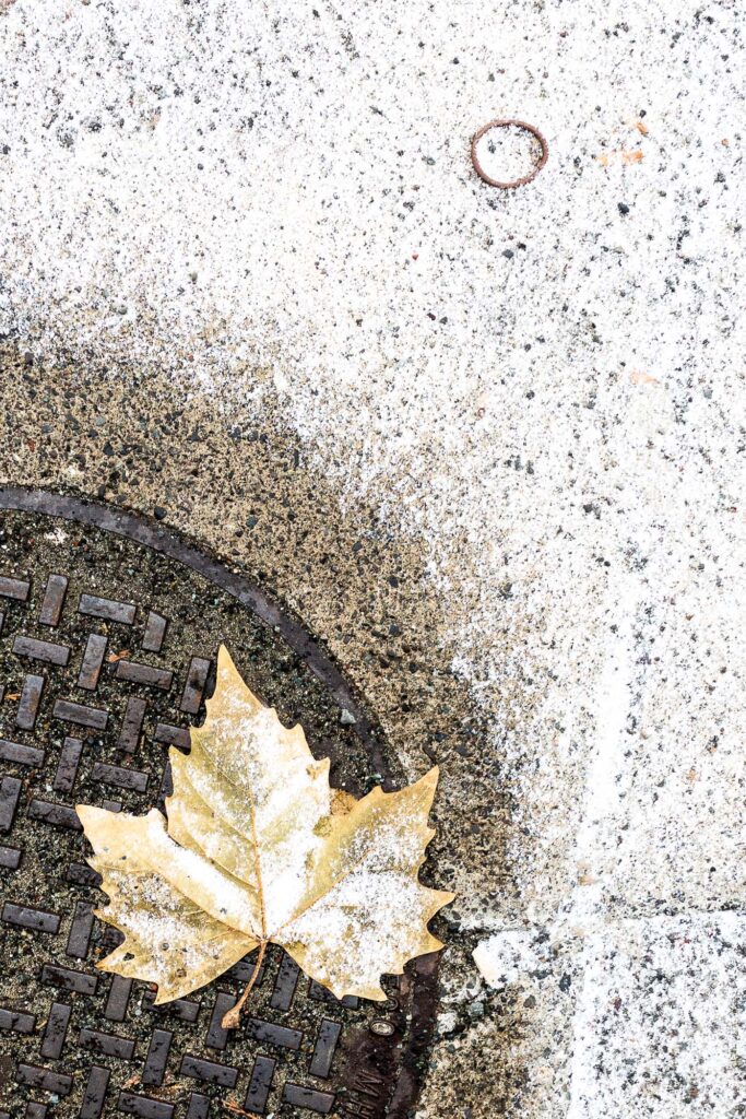 Photograph; A hair tie lying on the walkway above an autumn leaf on a manhole cover dusted in a light snow.
