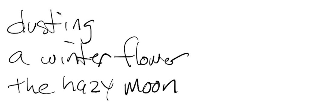 Haiku; dusting / a winter flower / the hazy moon