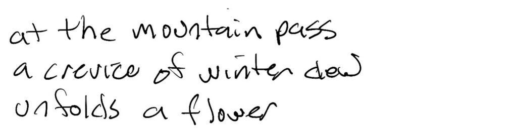 Haiku; at the mountain pass / a crevice of winter dew / unfolds a flower
