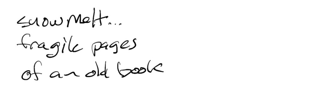 Haiku; snowmelt /  fragile pages / of an old book