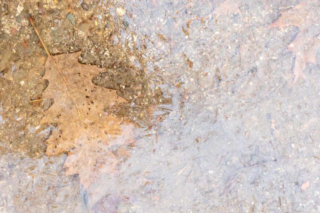 Photograph; A puddle reflecting the sky, a shadow revealing a leaf.