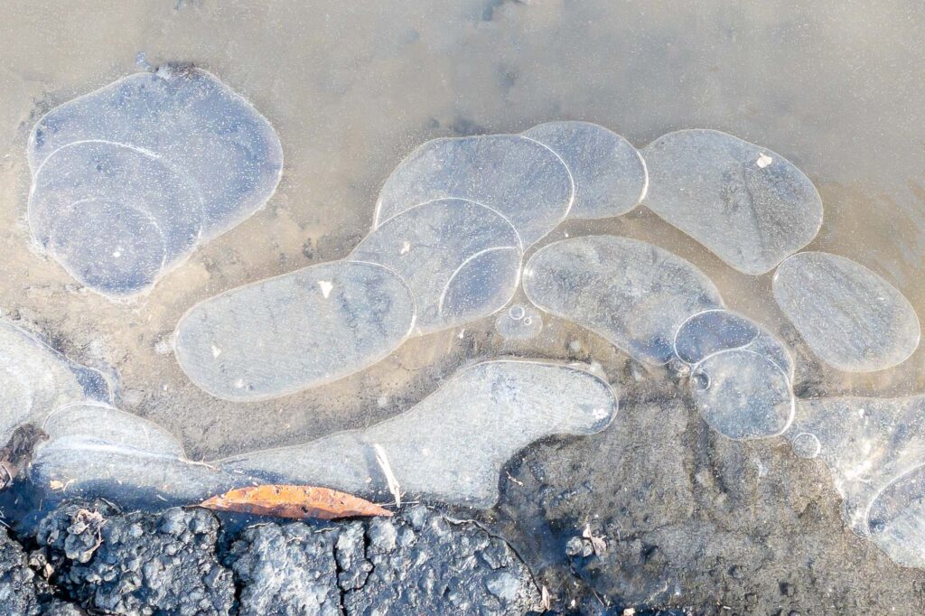 Photograph; An iced over muddy puddle with air bubbles, a leaf, at the edge of the  pavement.