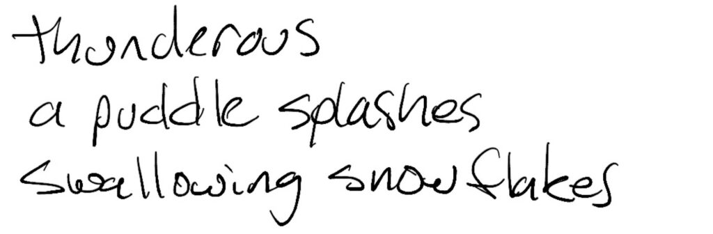 Haiku; thunderous / a puddle splashes / swallowing snowflakes