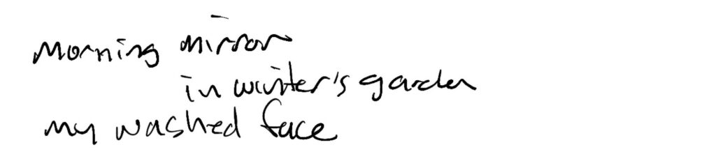 Haiku: morning mirror / in winter’s garden / my washed face