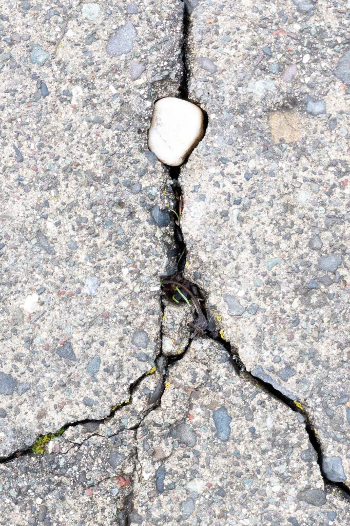 Photograph; A white stone in a crack of a sidewalk