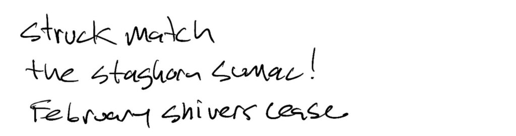 Haiku; struck match / the sumac! / February shivers cease