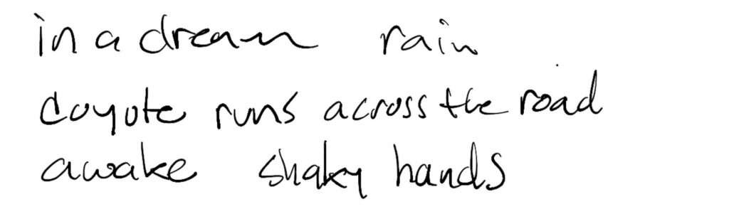 Haiku; in a dream     rain / coyote runs across the road / awake     shaky hands