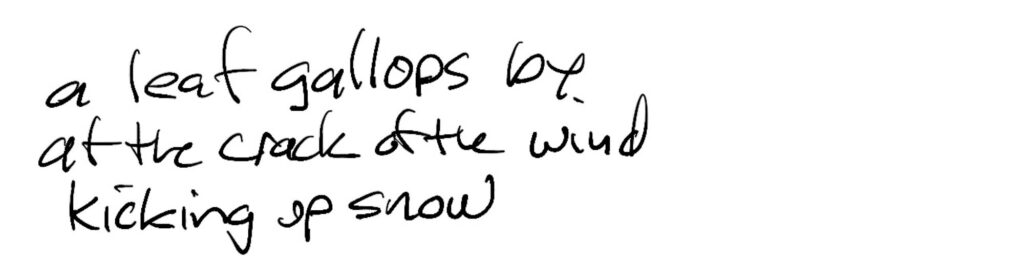 Haiku; a leaf gallops by / at the crack of the wind / kicking up snow