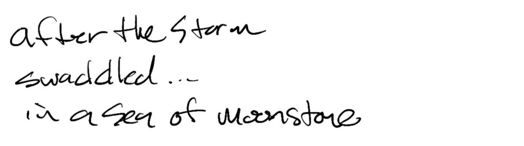 Haiku; after the storm / swaddled… / in a sea of moonstone