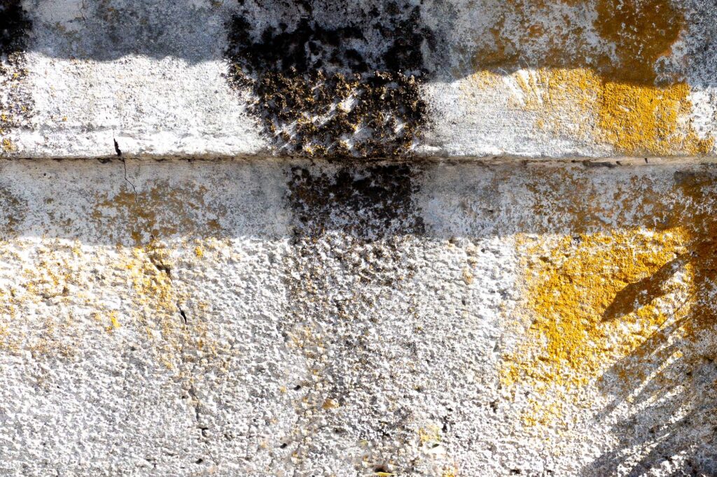 Photograph; A weathered cement fence in sun and shadow.