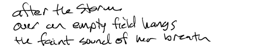 Haiku; after the storm / over an empty field hangs /  the faint sound of her breath