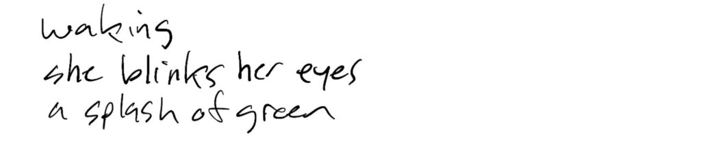 Haiku; waking / she blinks her eyes / a splash of green