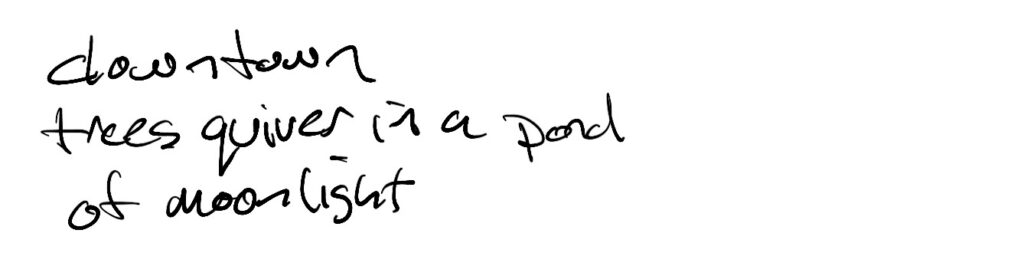 Haiku; downtown / trees 
quiver in  pond / of moonlight
