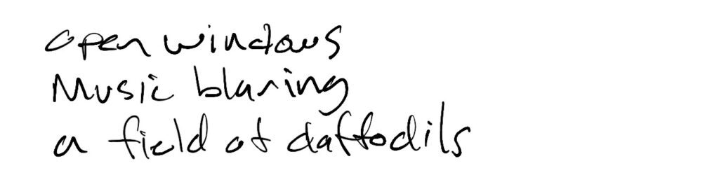 Haiku; open windows / music blaring /  a field of daffodils
