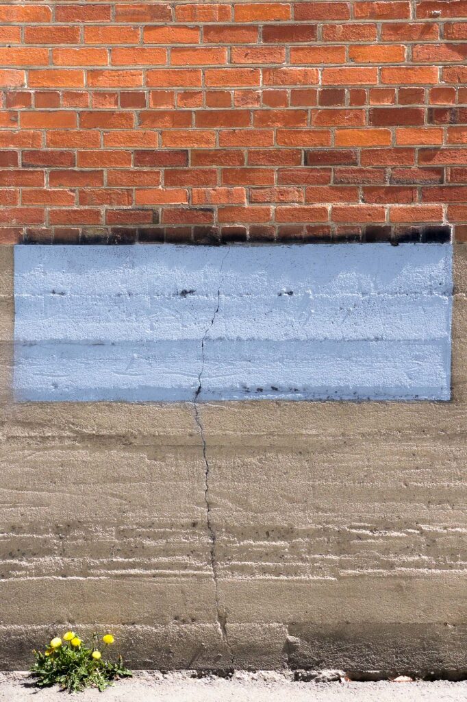 Photograph; A brick wall in an alleyway with a rectangular blue patch of paint. At the base of the wall three dandelion blooms