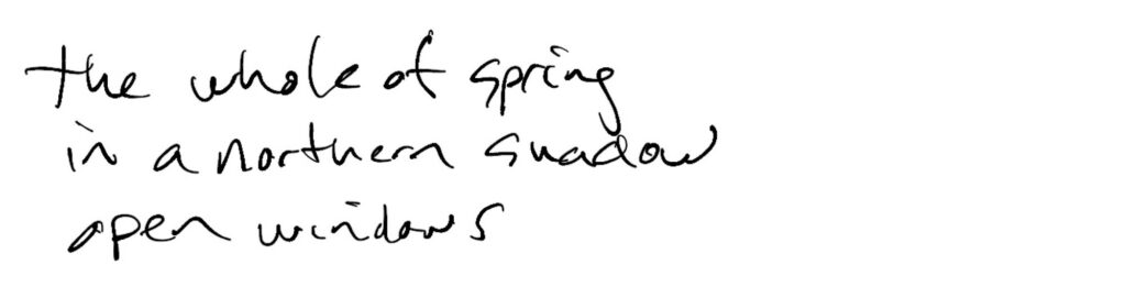 Haiku; the whole of spring / in the northern shadow / open windows